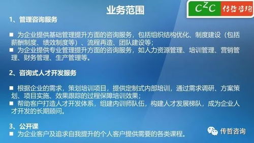 傳哲咨詢服務企業項目（2018版）信息咨詢服務解析